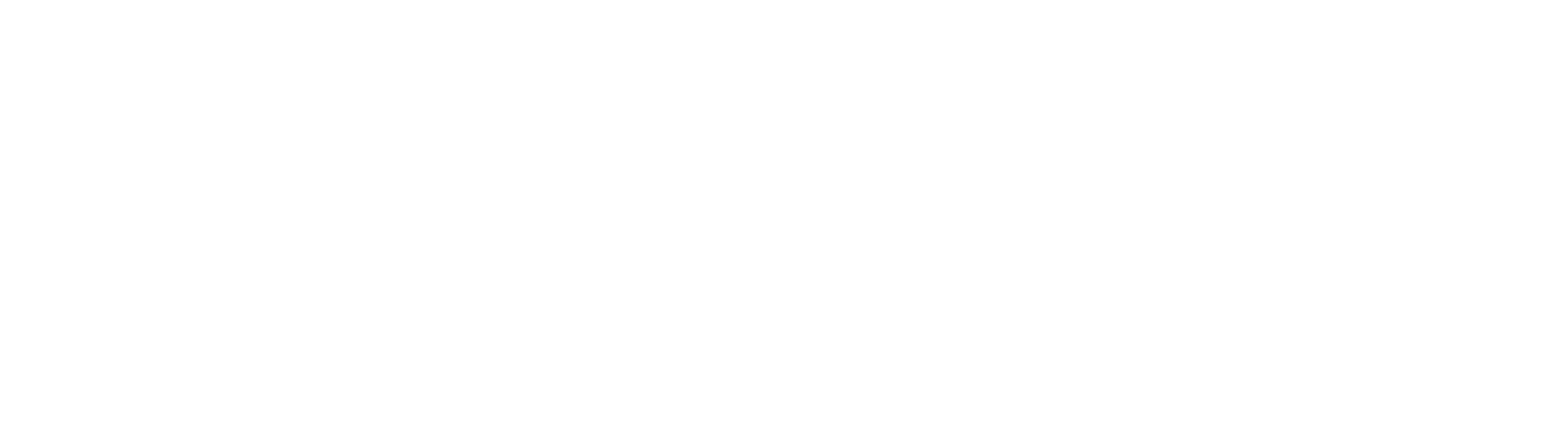 Vista Point at Fairview Logo