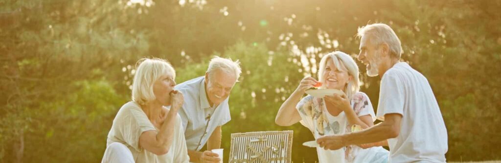 Group of seniors in the park in a picnic in summer having fun